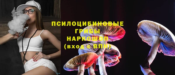 гидра Верхний Тагил