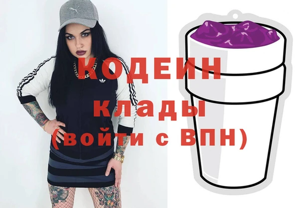 гидра Верхний Тагил