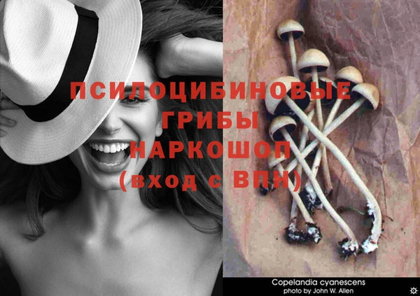 гидра Верхний Тагил