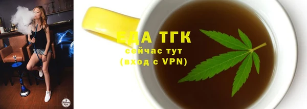 гидра Верхний Тагил