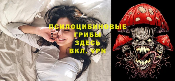 PSILOCYBIN Верхнеуральск