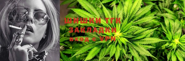 гидра Верхний Тагил